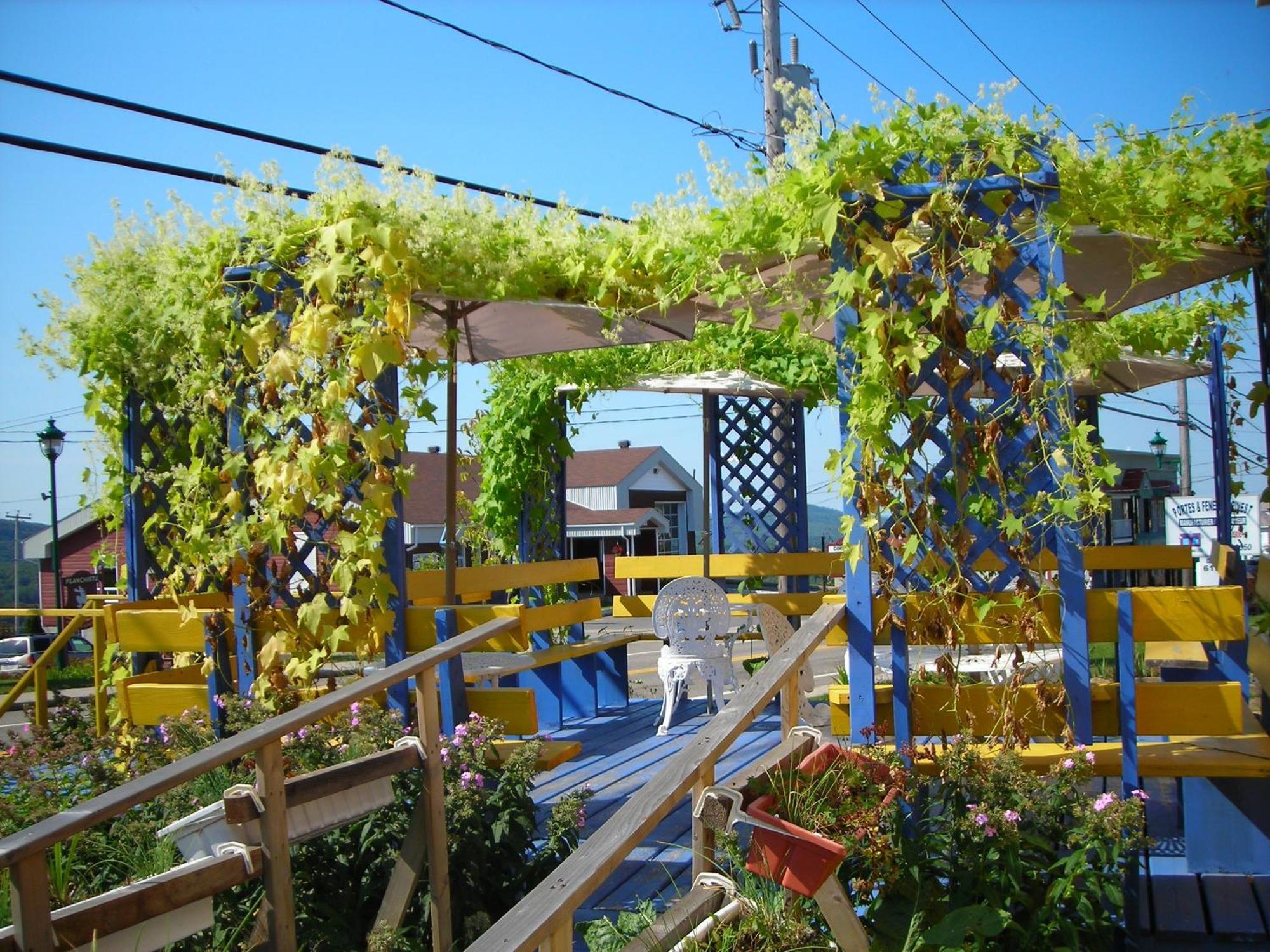 Gite Des Hauteurs Et Cafe De La Place Saint Zenon エクステリア 写真